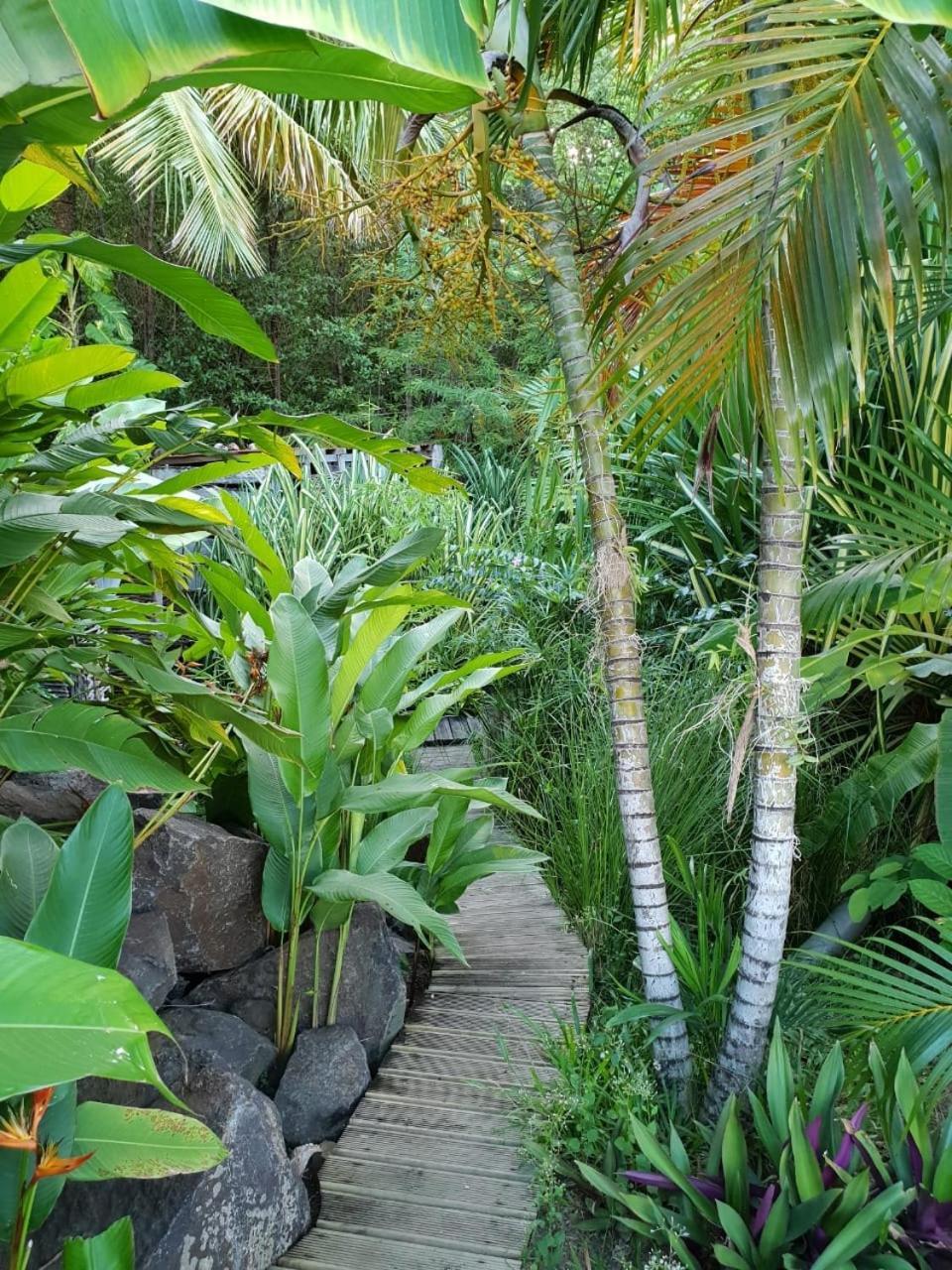 Orcea & Spa Sejours Ecofriendly Sainte-Anne Ngoại thất bức ảnh